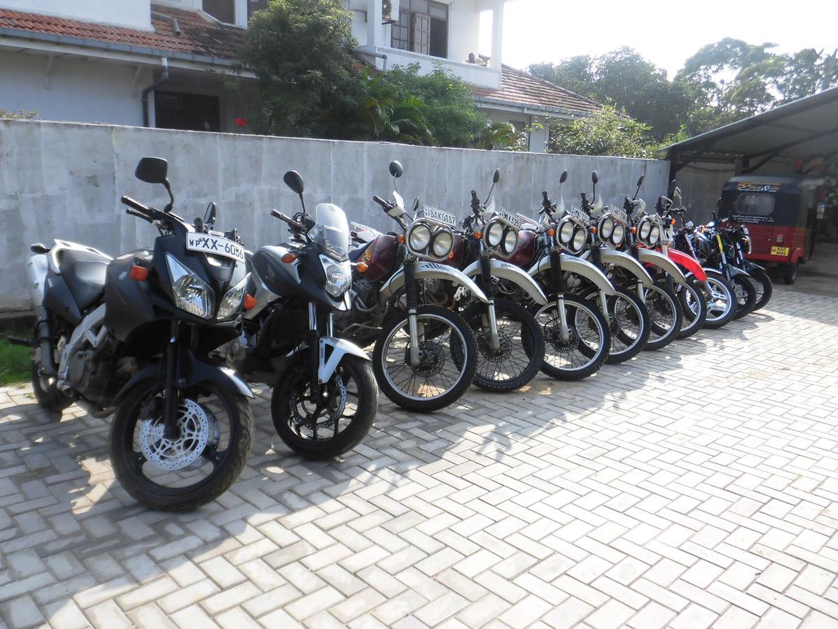 Pick & Go White House Bed and Breakfast Negombo Exteriör bild